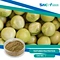 SNC | Good Fortune is a professional Textured Pea Protein supplier in China supplies all kinds of healthy ingredient.